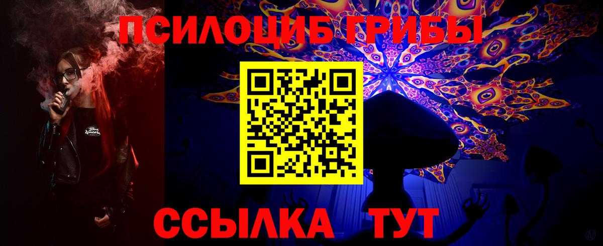 Кисловодск  Псилоцибиновые грибы Psilocybine cubensis  сколько стоит  Вход с VPN 