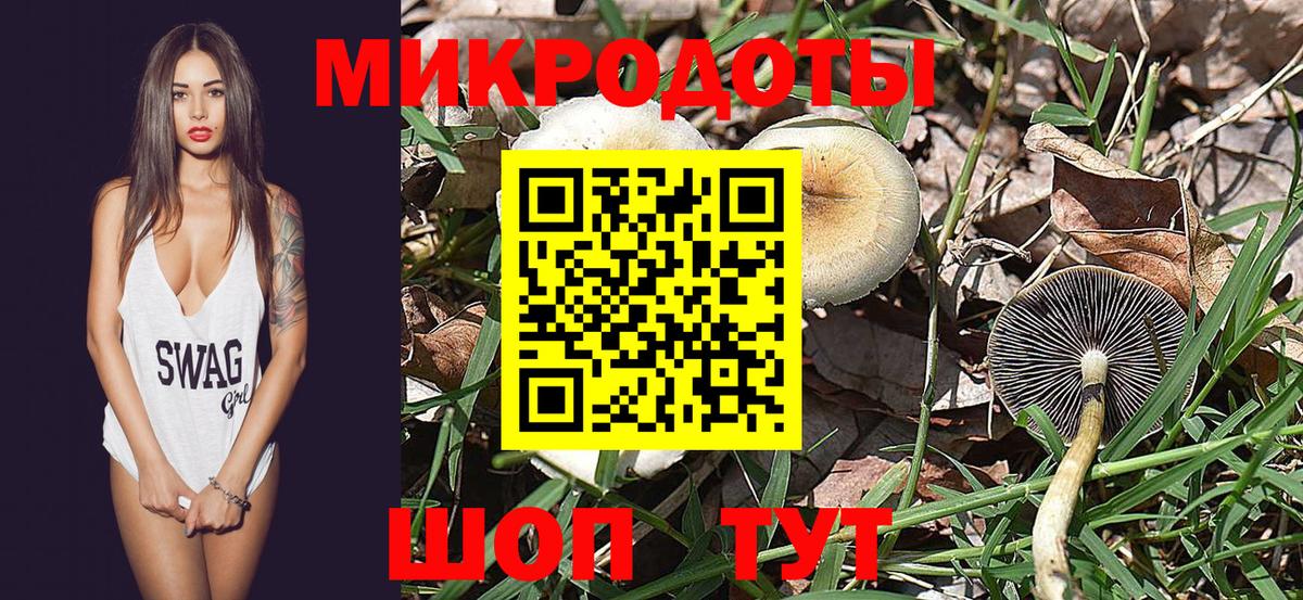 Галлюциногенные грибы GOLDEN TEACHER Кисловодск